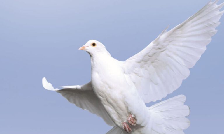 Friedensgebet der Religionen