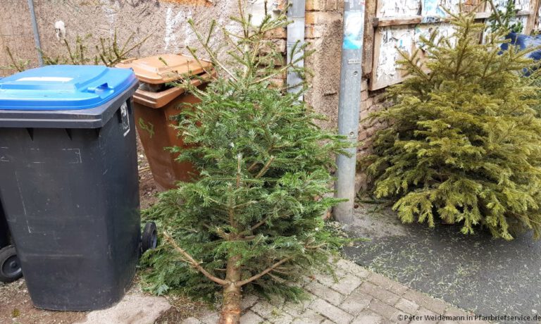 Christbaum-Abholaktion 2026